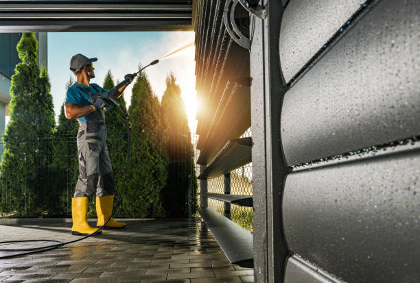 Best Soft Washing  in Freeland, MI